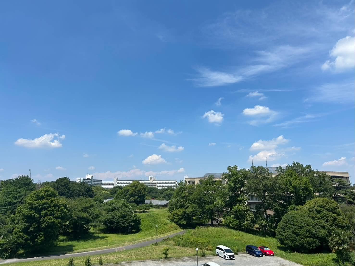 武蔵野の緑と青い空